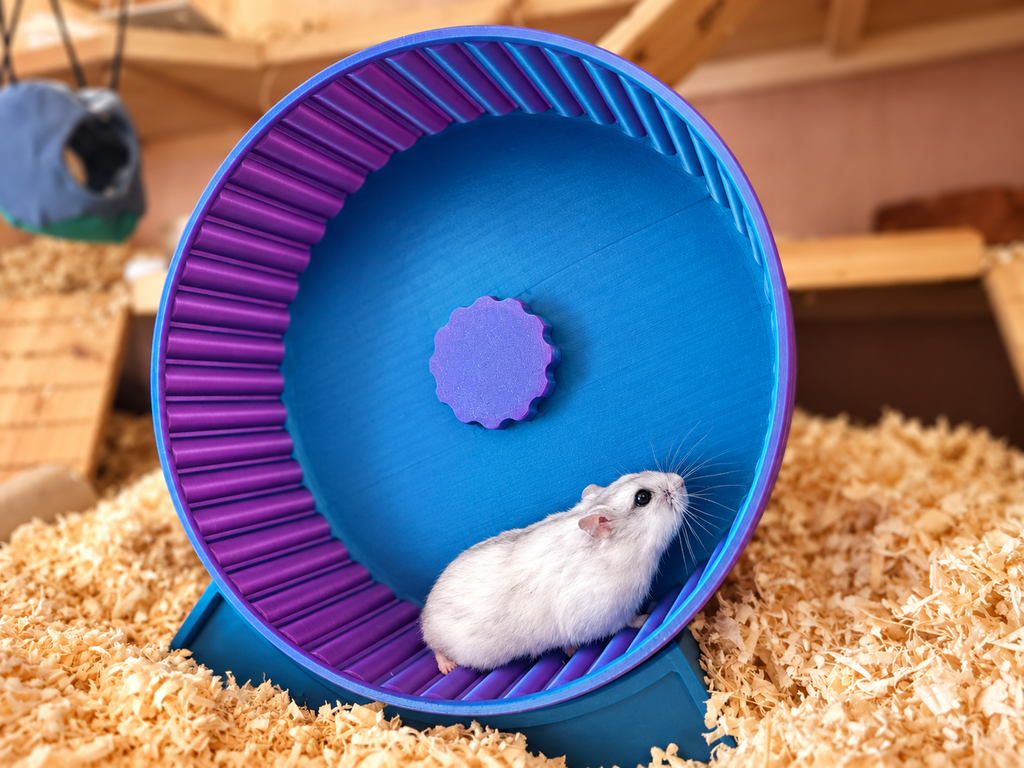 Nagerlaufrad (22cm - fuchsia/blau/grün) für Hamster und Zwerghamster